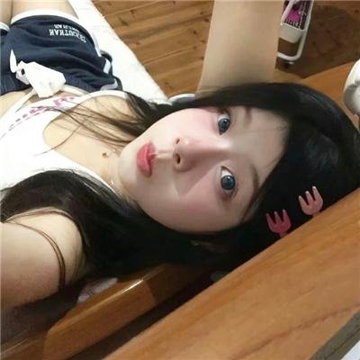燕子与鹦鹉
